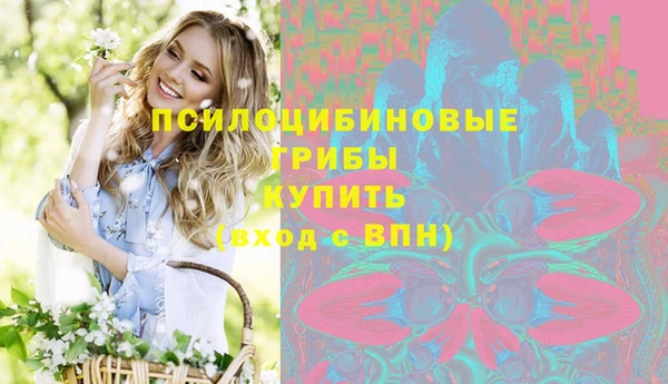винт Абаза