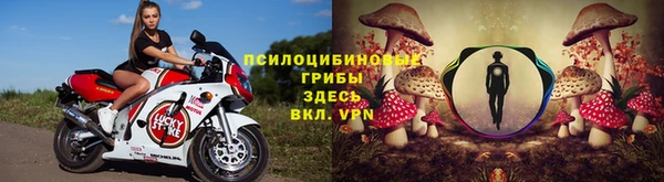 винт Абаза