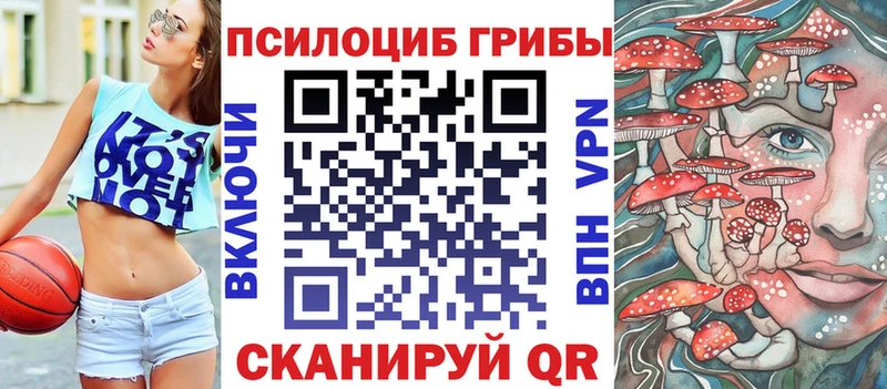купить наркоту  Нелидово  мега ONION  Галлюциногенные грибы мухоморы 
